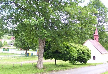 Suchá