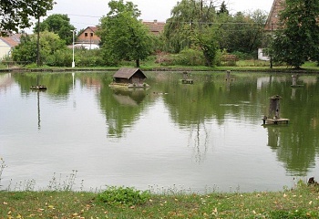 Tupadly