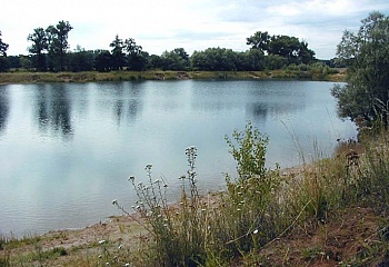 Ostrá