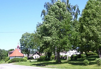 Věžnice
