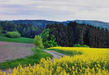 Vysoké Studnice