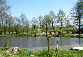 Zbinohy