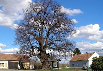Stará Lysá