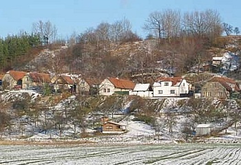 Vinaře