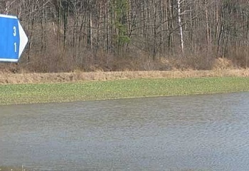 Vinaře