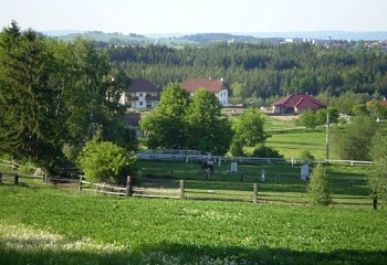 Zvíkov