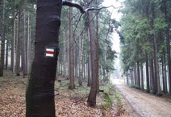 Boháňka