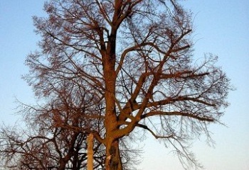 Cerekvice nad Bystřicí