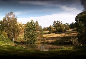 Jeřice