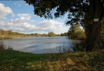 Tavíkovice