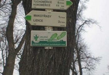 Běloky