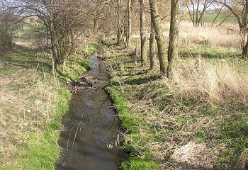 Brandýsek