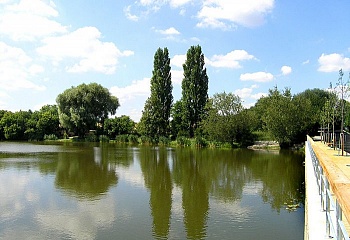Braškov