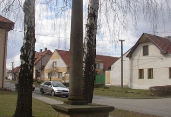 Družec