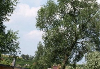 Dřetovice