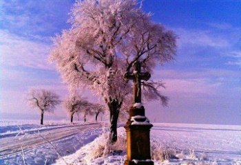 Nevratice