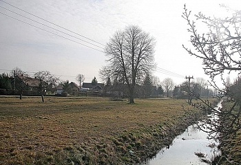 Nevratice