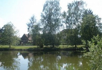 Nevratice