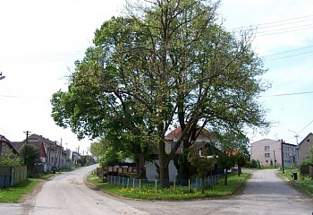 Chrtníč