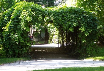 Hluboká nad Vltavou