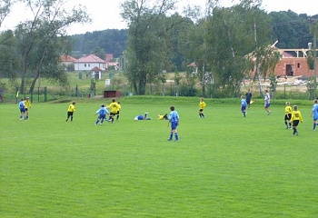 Homole