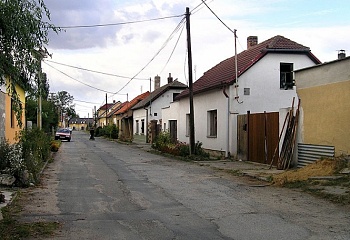 Záryby