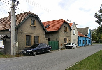 Záryby