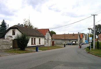 Záryby