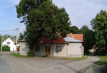 Záryby