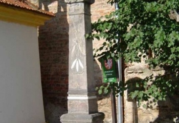 Záryby