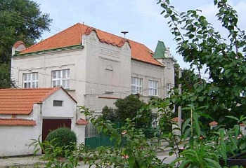 Záryby