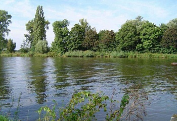 Záryby