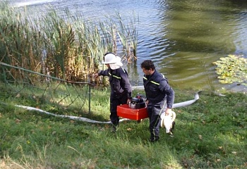 Dobříč