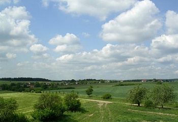 Dražeň