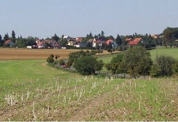 Zeleneč