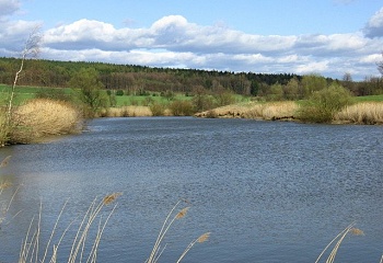 Tetín
