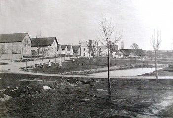 Třebnouševes