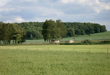 Třebnouševes