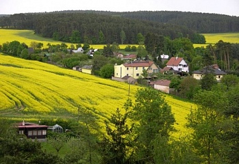 Čižice