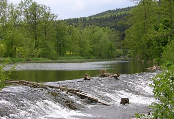 Čižice