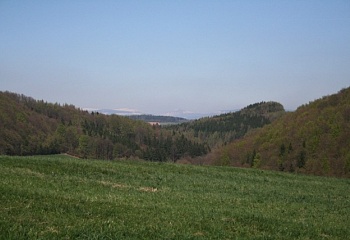 Vřesník