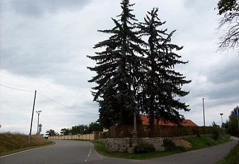 Kučeř