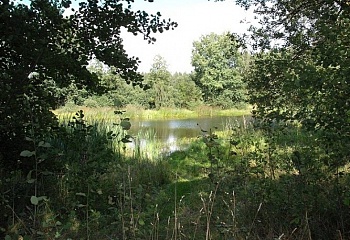 Milevsko