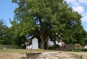 Přeštěnice