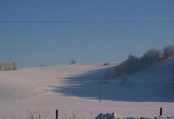 Bernartice