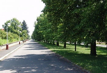 Lidice