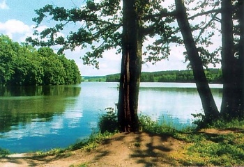 Merklín