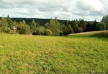 Pila