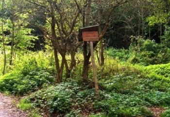 Újezd u Černé Hory