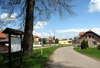 Pokřikov